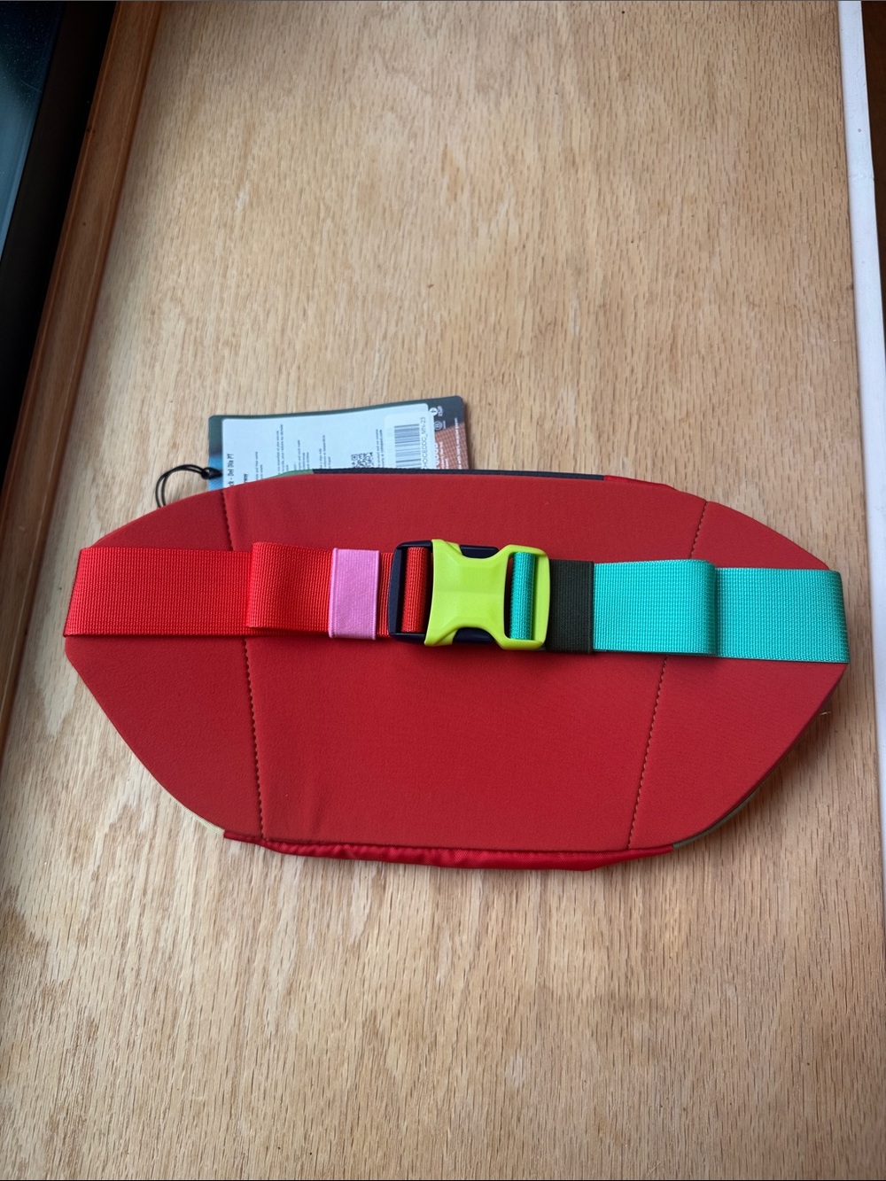 cotopaxi Multicolor Del Día Waist Pack in Teal, Red, Orange, Green, Cream - Picture 3 of 3